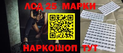 СК Донецк