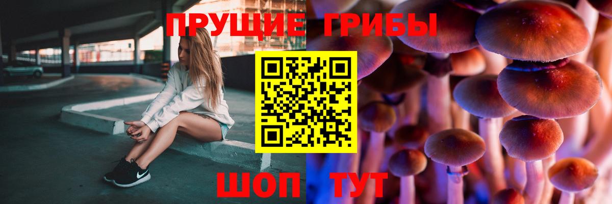 Галлюциногенные грибы прущие грибы  Псилоцибиновые грибы Magic Shrooms  Вход с VPN  Новошахтинск 